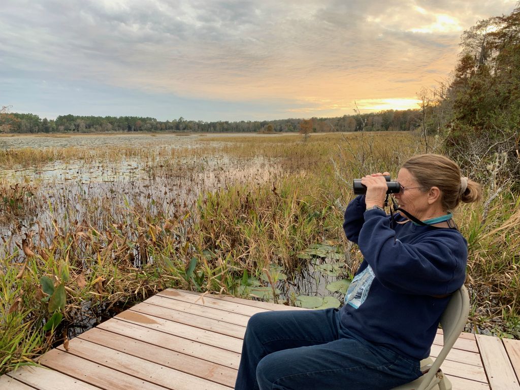 Donna looking for birds
