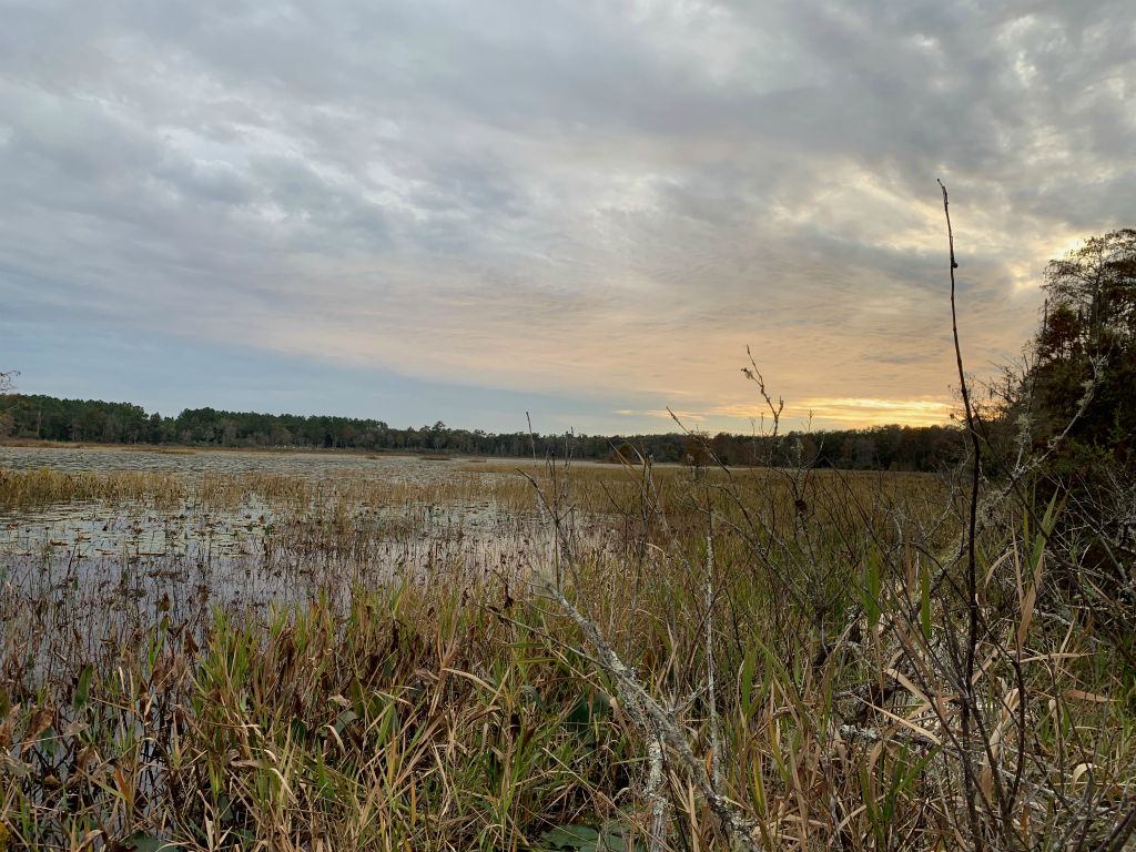 Late Nov sunset across wetland