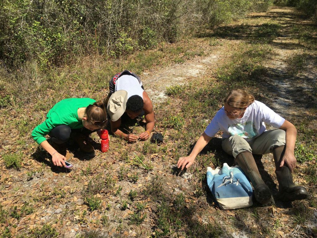 Looking for Sundew carnivorous plants with Jocelynne, Taylor and Donna, March 2016