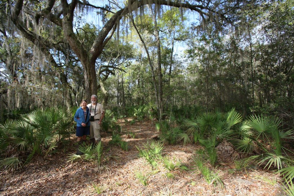 Scrub-Oak forest, Donna and Hays, March 2014