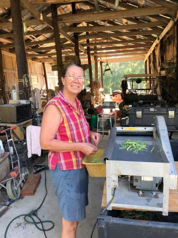 Donna using our  neighbor’s “pea sheller” to shell half of a five gallon bucket of peas in 10 minutes. Thanks Virginia and Tommy Aman!
