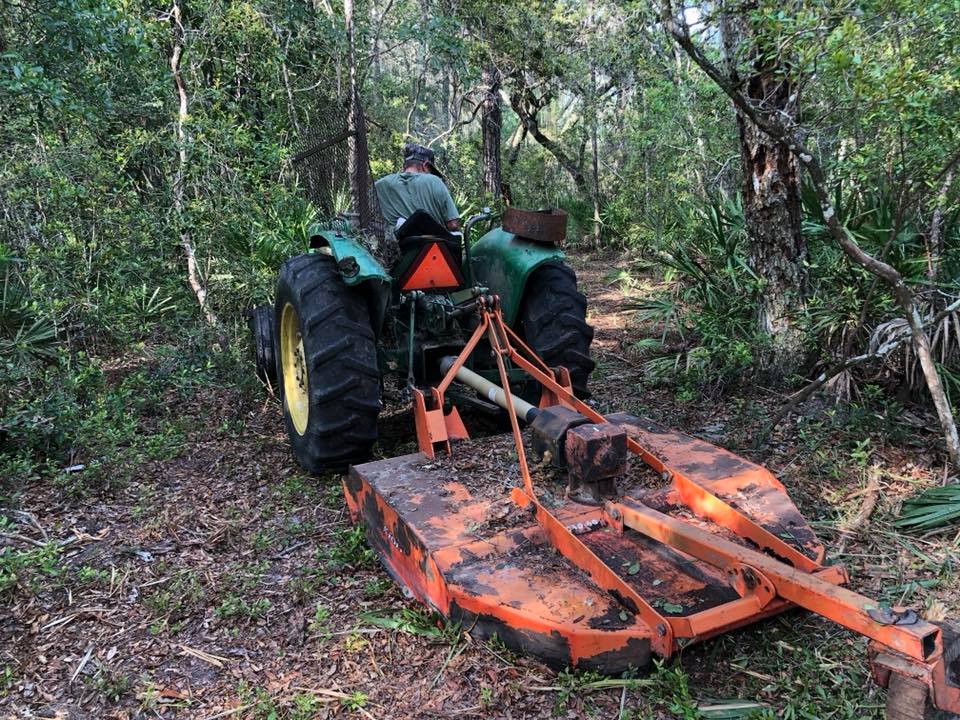 Our wonderful neighbor Tommy Aman is clearing out a small area in the NE corner of the property for a bird blind that overlooks the wetland but is invisible to others, late June 2018.