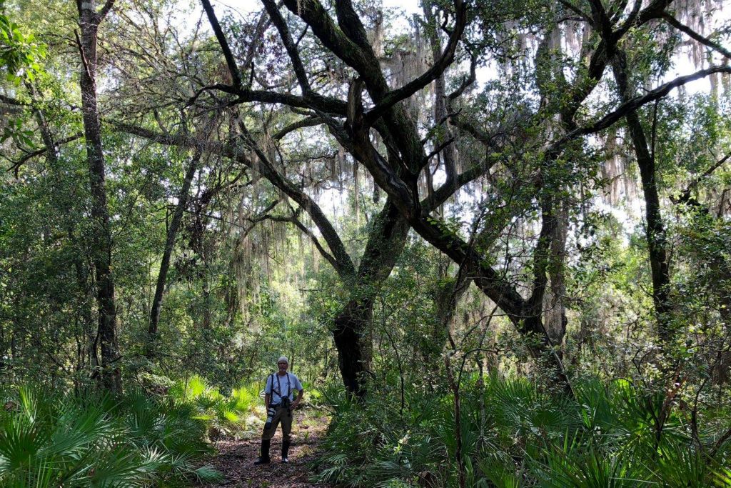 ome of the most stunning scrub-oak forests are located in the NE corner of the property, photo taken June 22, 2018.