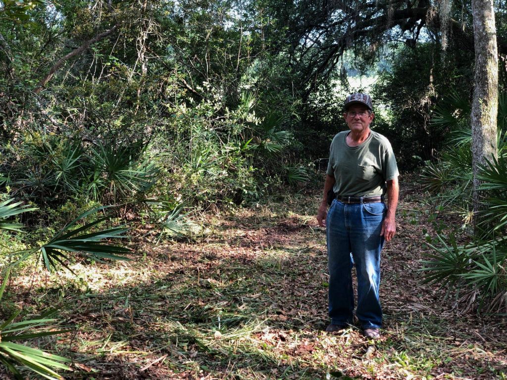 We've built two bird observation boardwalks in the last year-Cypress Grove and Cottonmouth Alley. The next project is a bird blind in the NE corner of the property. None of this would have been possible without Tommy Aman's expertise on his tractor. Thank you! June 27, 2018