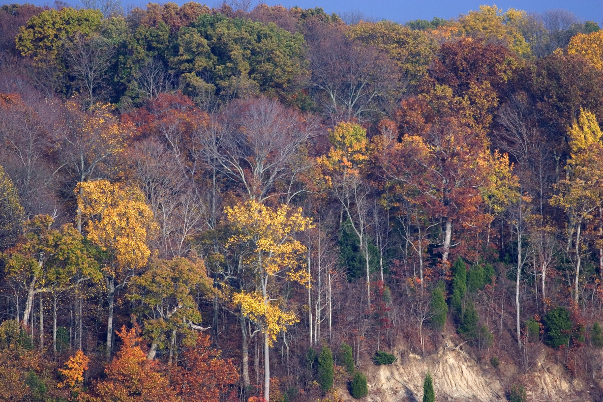 Full Size Image = 47991 K