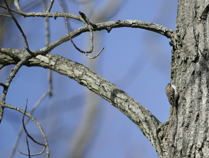 Full Size Image = 3668 K