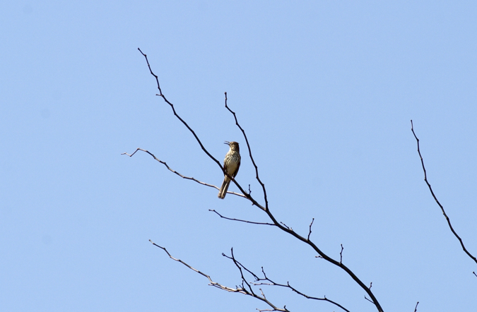 Full Size Image = 790 K