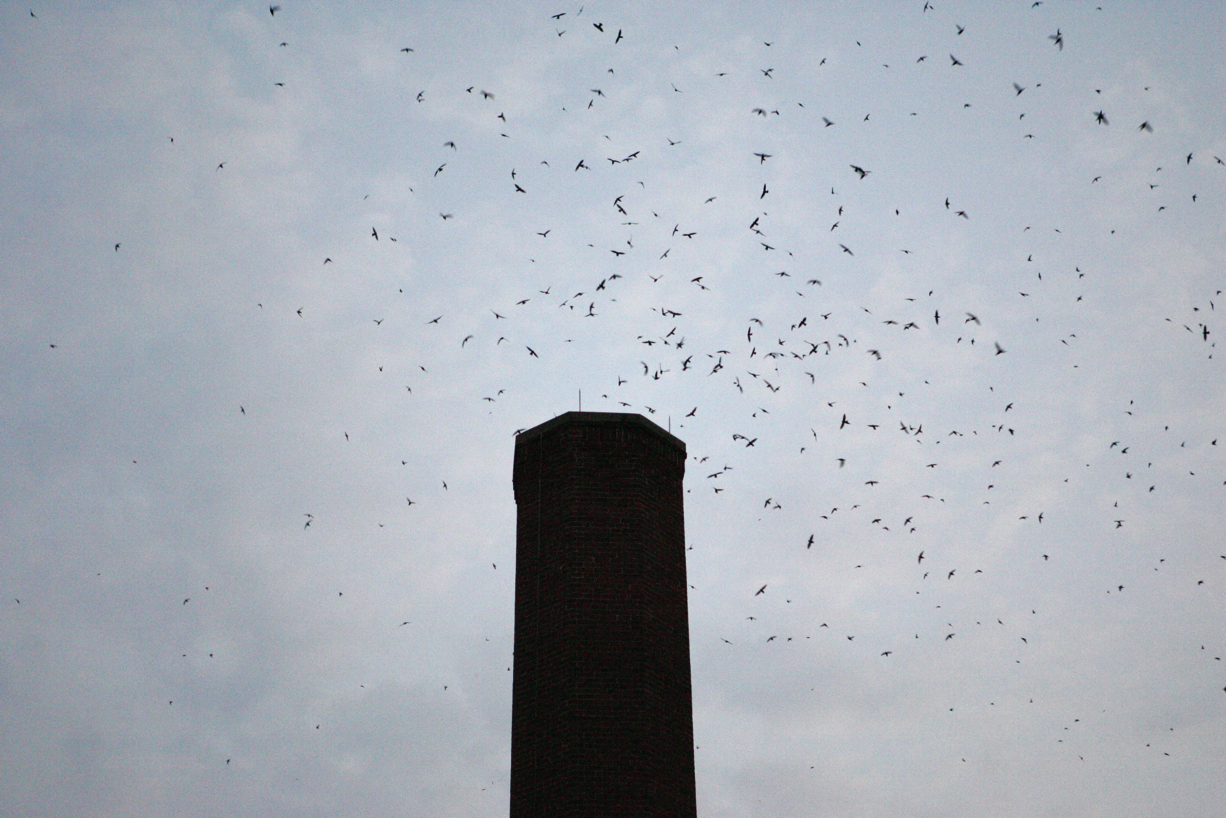 Full Size Image = 6590 K