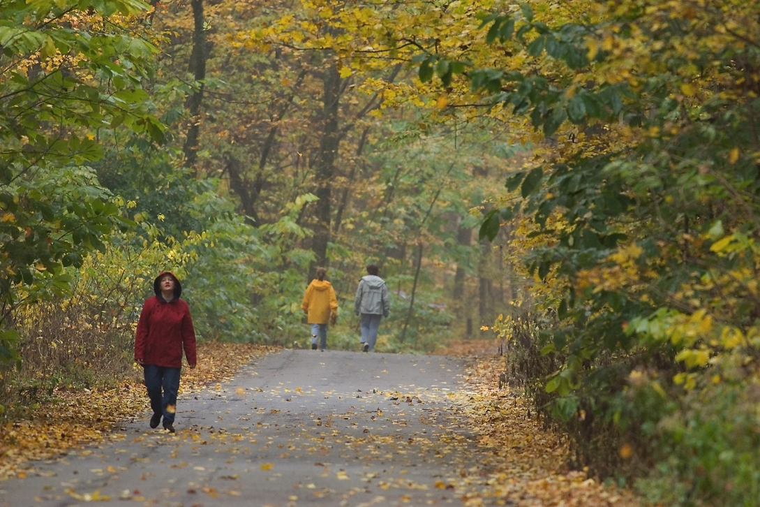 Full Size Image = 9246 K