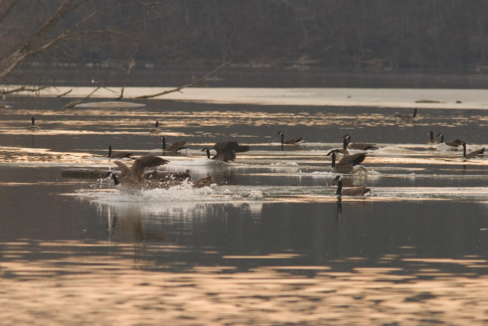 Full Size Image = 1061 K