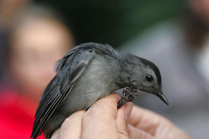 Full Size Image = 12673 K