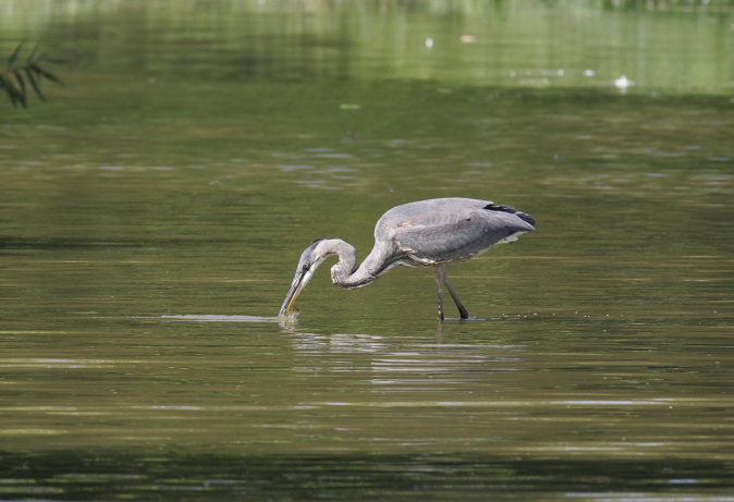 Full Size Image = 1990 K