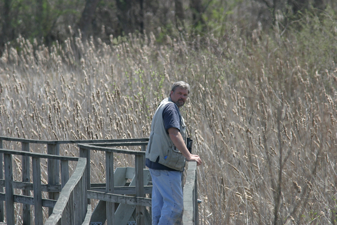 Full Size Image = 1323 K