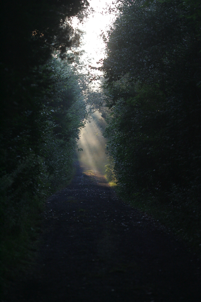 Full Size Image = 5855 K