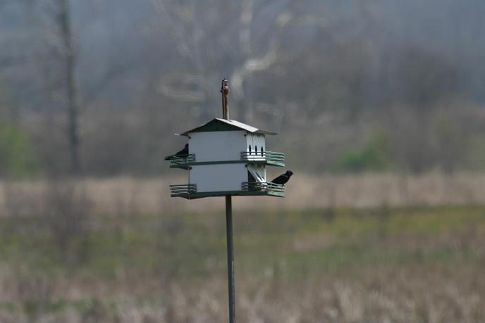 Full Size Image = 760 K