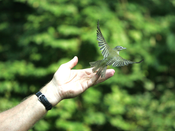 Full Size Image = 5566 K