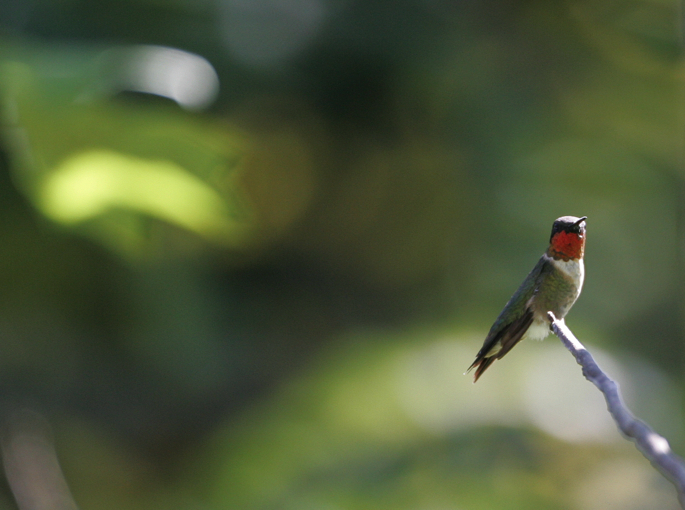 Full Size Image = 5002 K