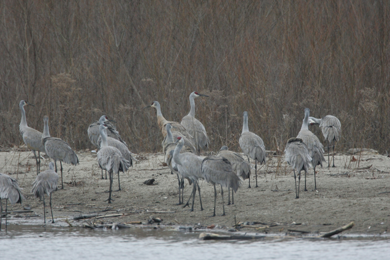 Full Size Image = 4720 K