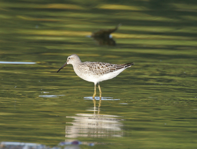 Full Size Image = 1450 K