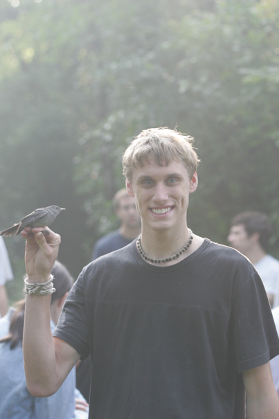 Full Size Image = 1367 K