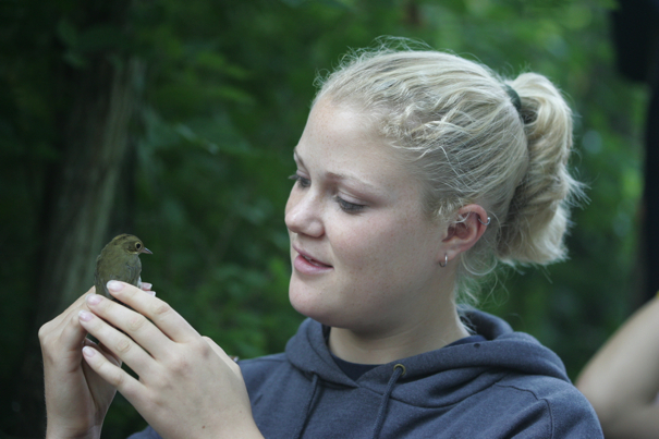 Full Size Image = 5839 K