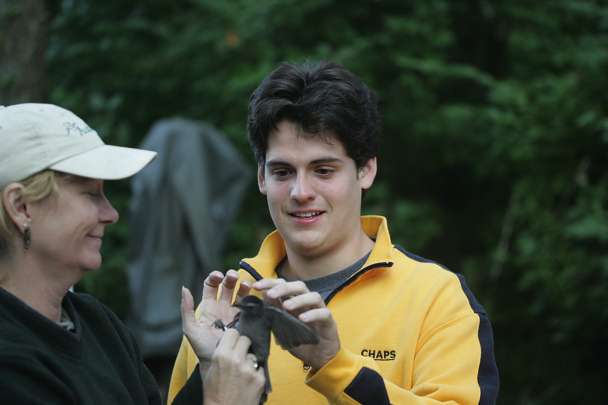 Full Size Image = 5857 K