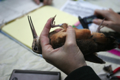 Measuring American Woodcocks