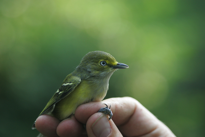 Full Size Image = 12673 K