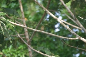 IMG 7073