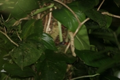 IMG 7701