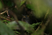 IMG 7796