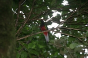 IMG 7820