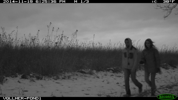 Full Size Image = 574 K