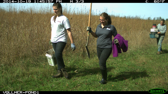 Full Size Image = 1899 K