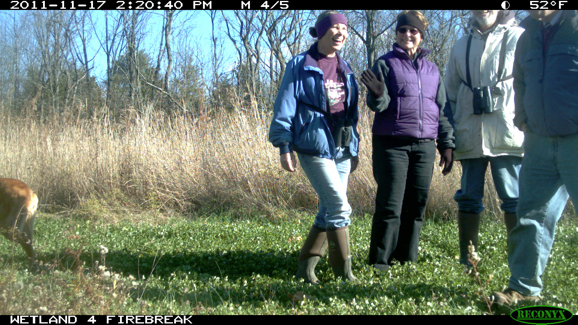 Full Size Image = 2365 K