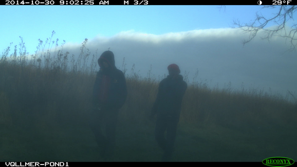 Full Size Image = 673 K