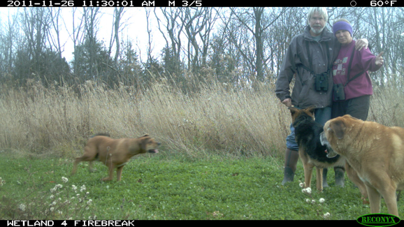 Full Size Image = 2023 K