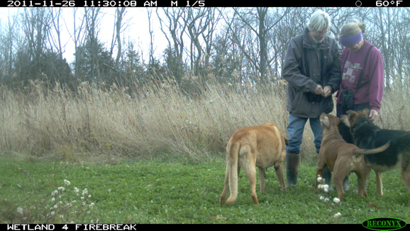 Full Size Image = 2038 K