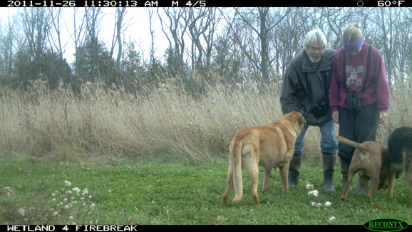 Full Size Image = 2058 K