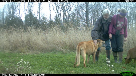 Full Size Image = 2062 K