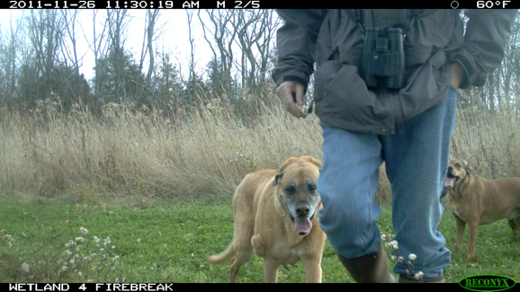 Full Size Image = 1738 K