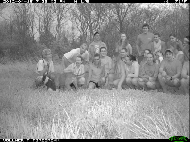 Full Size Image = 1192 K