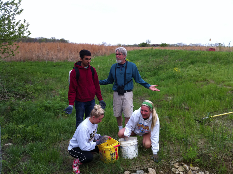 Full Size Image = 4247 K