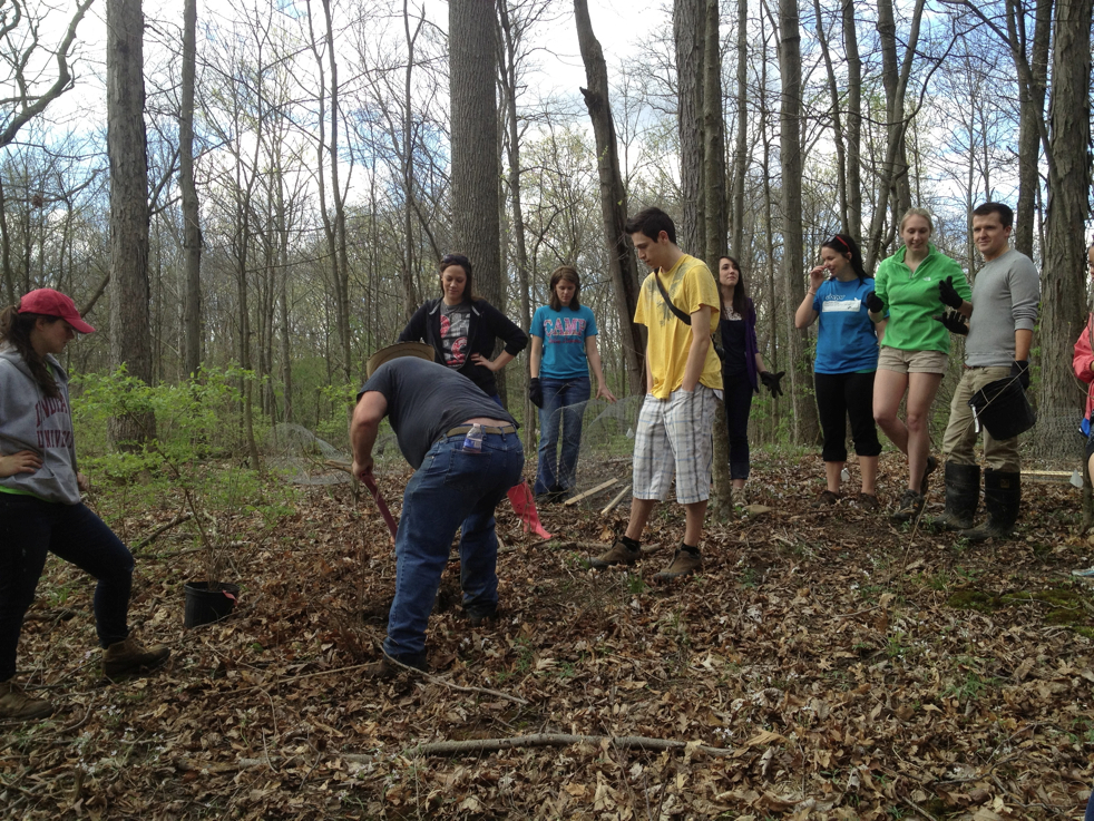 Full Size Image = 8901 K