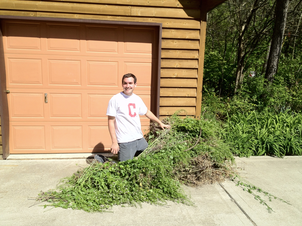 Full Size Image = 8325 K