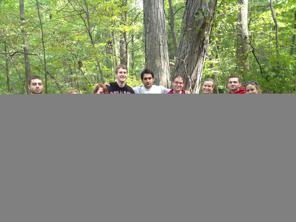 Full Size Image = 7913 K