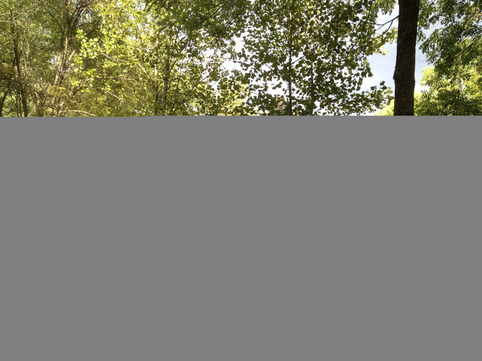 Full Size Image = 8860 K