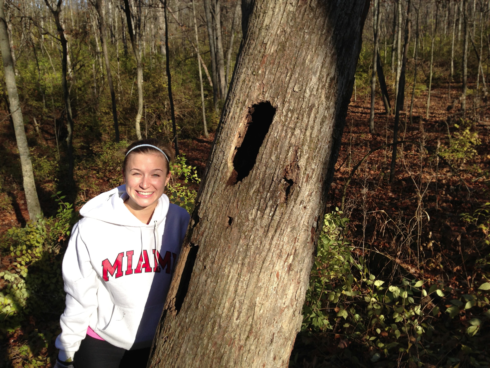 Full Size Image = 7322 K