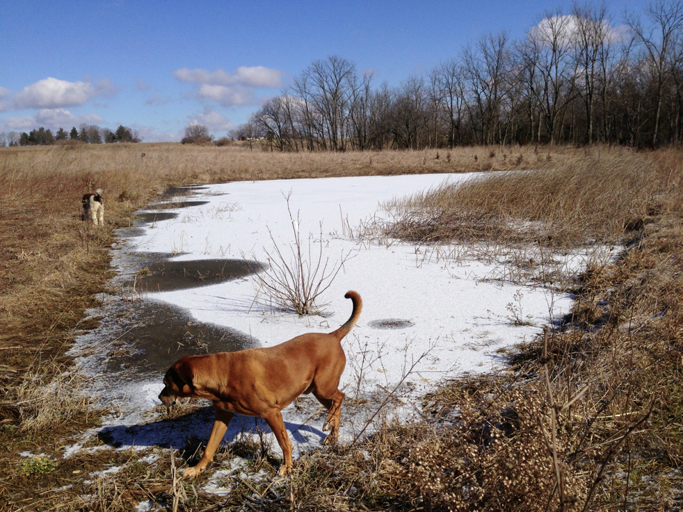 Full Size Image = 8782 K