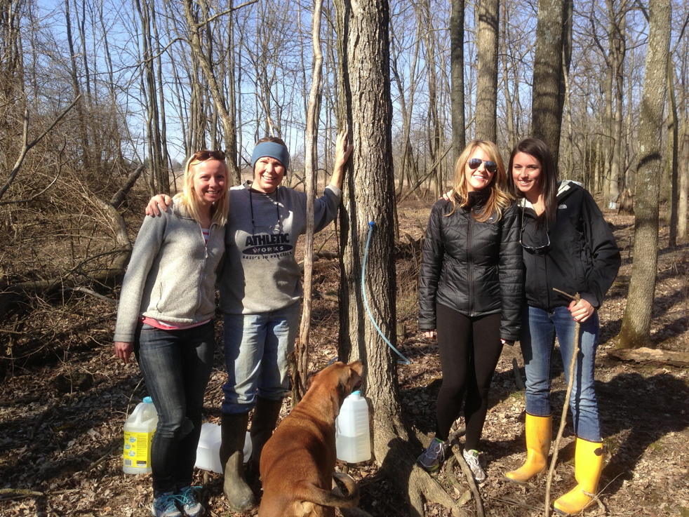 Full Size Image = 8790 K